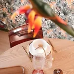 Jacuzzi Prive, Retro-projecteur & Jardin