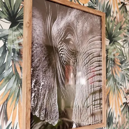 Jungle Avec Jacuzzi Prive & Retro-projecteur * Saint-Yzan-de-Soudiac