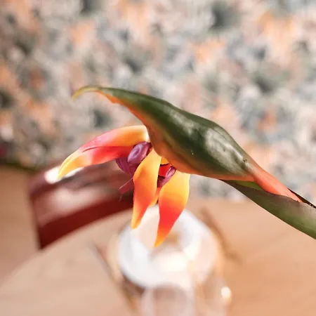 Дом отдыха Jungle Avec Jacuzzi Prive & Retro-projecteur Saint-Yzan-de-Soudiac