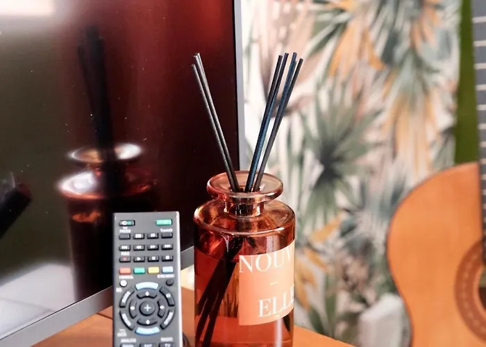 Hébergement de vacances Jungle Avec Jacuzzi Privé