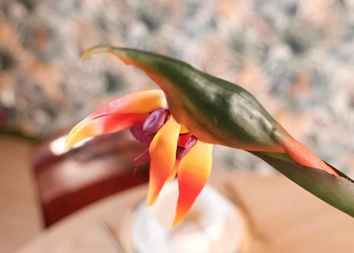 Hébergement de vacances Jungle Avec Jacuzzi Privé Saint-Yzan-de-Soudiac